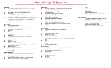 Bartonella Symptoms, Types Of Rashes, Lecture Hall, Cat Scratch, Stuck In My Head, Red Blood Cells, Invisible Illness, Blood Cells, Secret Love