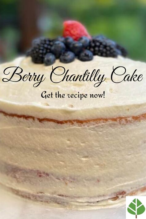 Fresh Berry Chantilly Cake Berry Chantilly Cake Recipe, Chantilly Cake Recipe, Holiday Cake Recipes, Fluffy Vanilla Cake, Berry Chantilly Cake, Berry Desserts, Chantilly Cake, Bunco Night, Homemade Goodies