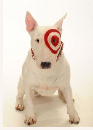 Pitbull Bull Terrier, Target Dog, Most Cutest Dog, Dog Makeup, Mini Bull Terriers, Dog Mascot, Dog With A Blog, New York Stock Exchange, Famous Dogs