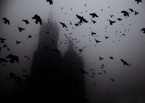 Dark Fairytale Aesthetic, Vampire Aesthetic, Dark Fairytale, Dark Castle, Black And White Birds, White Birds, Queen Aesthetic, Raven Queen, Vampire Queen