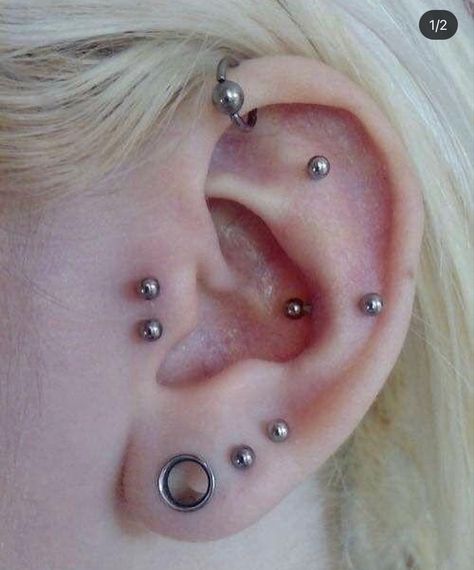 Ear Piercing Set Ideas, Pretty Poison, Piercing Inspo, Cool Ear Piercings, Pretty Ear Piercings, Face Piercings, Cool Piercings, Cute Piercings, Body Jewelry Piercing