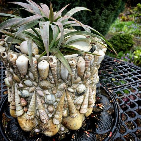 Mermaid Garden, Natural Interiors, Shell Planter, Mandala Rock Art, Shell Crafts Diy, She Sells Seashells, Natural Interior, Mandala Rocks, Planter Ideas