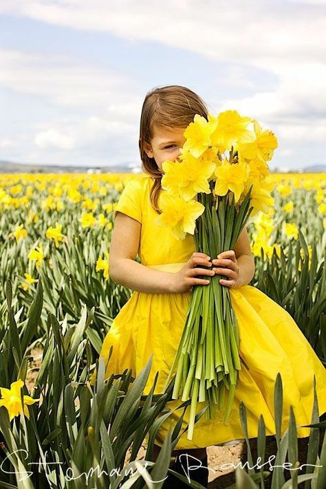 Yellow Cottage, Yellow Springs, Holding Flowers, Mellow Yellow, Happy Colors, Shades Of Yellow, Flower Field, Spring Colors, Daffodils