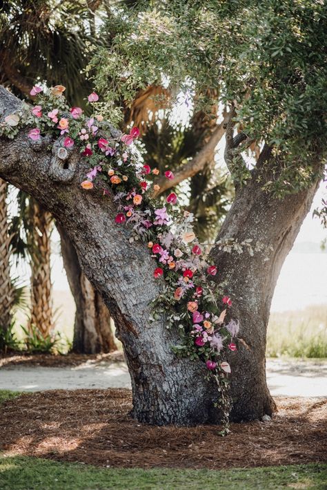 Wedding Tree Flowers, Lowndes Grove Wedding, Charleston Wedding Venues, May Wedding, Wedding Luxury, May Weddings, Tree Wedding, Charleston Wedding, Flowering Trees