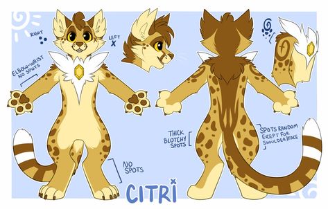 Cat Fursona Ref Sheet, Cat Fursuit, Fursona Art, Fur Suit, Ref Sheet, Reference Sheet, Anthro Dragon, Colorful Animals, Warrior Cat