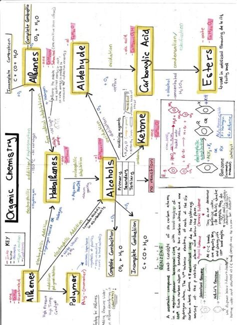 Organic Chemistry can be confusing... here's a visual mind map with everything you need to know. (p.s. don't forget the functional groups and key reactions) Organic Chemistry Mind Map, Chemistry Mind Map, Mindmap Ideas, Organic Chemistry Notes, Organic Chemistry Reactions, Organic Chem, Biochemistry Notes, Neet Notes, Organic Chemistry Study