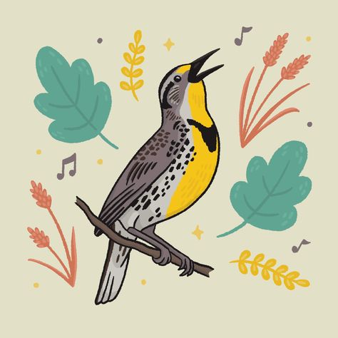 Digital Western Meadowlark drawing, state bird of Nebraska, Montana, Kansas, North Dakota, Oregon, and Wyoming. #drawing #art #bird #animals #nature Montana State Bird, Western Meadowlark Drawing, Western Meadowlark Tattoo, Meadowlark Drawing, Meadowlark Tattoo, Kansas State Bird, Nebraska Tattoo, Meadowlark Bird, Lark Tattoo