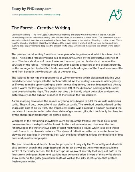 Article Essay Example, Story Writing Examples, Describing Forest Writing, Forest Descriptive Writing, Article Writing Example, Feature Writing Example, Gcse Creative Writing Example, Descriptive Essay Example, Descriptive Writing Examples