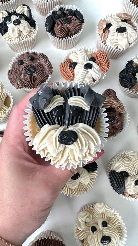 Bichon, Maltese, Poodle, Bolognese, Lhasa Apso, Coton de Tulear, or Havanese Which breed does this pupcake most resemble?🐶 . I’ve… | Instagram Cute Puppy Cupcakes, Dog Cake Buttercream, Dog Cookie Cake Design, Golden Doodle Cupcakes, Puppy Smash Cake, Schnauzer Cupcakes, Puppy Cupcakes For Kids, Dog Face Cupcakes, Dog Cupcakes Decoration