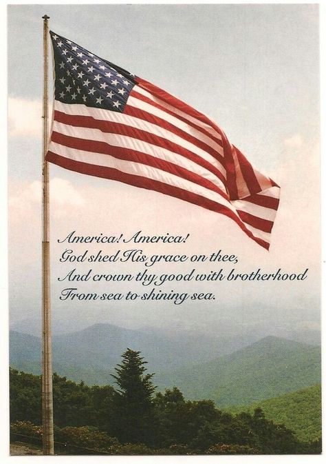 America! America! God shed His grace on thee! Patriotic Pictures, Politically Correct, Military Quotes, Photography New York, Independance Day, True American, I Love America, Sea To Shining Sea, Holiday Images