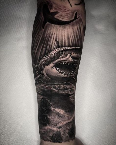 HAMMERSMITH TATTOO LONDON on Instagram: "Black and Grey Realism Shark by Archie @noodles_tattoo 🦈 To book your realism tattoo with Archie contact him directly or send us a message @hammersmith_tattoo_london ✖️ #tattoo #realismtattoo #blackandgrey #blackandgreytattoo #realismtattoolondon #realistictattoo #halfsleeve #halfsleevetattoo #londontattoo #tattoolondon #hammersmith #hammersmithtattoo #london" Black And Grey Shark Tattoo, Shark Tattoo Arm, Shark Tattoo Sleeve, Hammerhead Tattoo, Ocean Theme Tattoos, Diamond Tattoo Designs, Black And Grey Realism, Tattoo Session, Diamond Tattoo