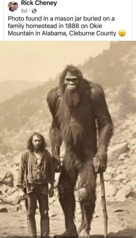 Real Bigfoot Pictures, Weird Old Photos, Real Bigfoot, Bigfoot Stories, Bigfoot Pictures, Giant People, Bigfoot Art, Family Homestead, Bigfoot Sightings