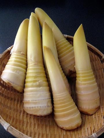 Preparing Bamboo Shoot – TOIRO Bamboo Species, Bamboo Shoot, Bamboo Chopping Board, Home Grown Vegetables, Bamboo Shoots, Food Spot, Root Vegetables, Medicinal Herbs, Permaculture