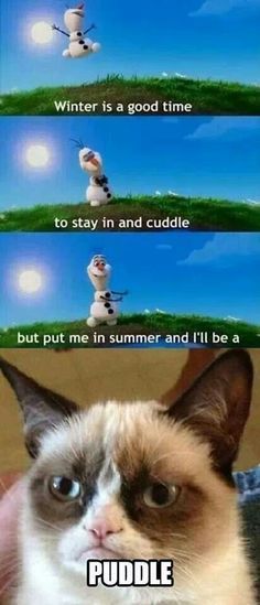 Grumpy Cat Memes, Grumpy Cat Meme, Funny Memes For Him, Grumpy Cat Quotes, Grumpy Cats, Funny Disney Memes, Humor Mexicano, Meme Comics, Grumpy Cat Humor