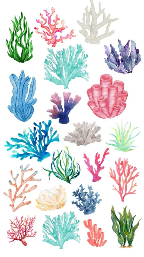 دورة حياة النبات, Ocean Creatures Art, Coral Drawing, Cute Flower Drawing, Decor Marin, Ocean Drawing, Easy Flower Painting, Gcse Art Sketchbook, Watercolor Paintings Nature