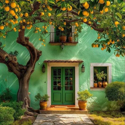 Portugal Algarve, Gorgeous Doors, Green Door, Algarve Portugal, Lemon Tree, Unique Doors, Beautiful Doors, Cozy Cottage, Yard Ideas