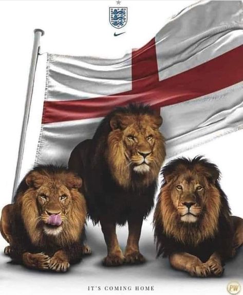 British Army Humour, England Flag Wallpaper, Lfc Wallpaper, English National Team, England Lions, Angel Statues Sculpture, Millwall Fc, England National Football Team, 3 Lions