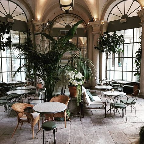 Milan Restaurant Aesthetic, Milan Aesthetic Fashion, Milano Aesthetic, Milan Restaurants, Autumn Plants, Decorating Apps, Restaurant Aesthetic, Conservatory Garden, Outdoor Cafe