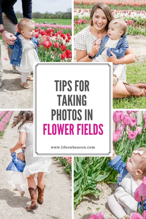 How to get the best pictures of your family or baby in a flower field, including what to wear and the things you have to bring with you.  (Photos from Poston Gardens, Waxahachie Texas near Dallas) #Dallas #PostonGardens #Tulips #FlowerPhotos #FamilyPhotoIdeas Farm Family Pictures, Waxahachie Texas, Spring Family Pictures, Tulip Farm, Wildflower Photo, Farm Pictures, Summer Family Photos, Family Flowers, Spring Photoshoot