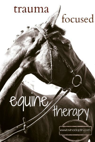 I found this information in an email from The Child Trauma Academy on Spirit Reins Equine Therapy: “Participants learned that the brains of “prey” animals, such as horses, are org… Equine Therapy Activities, Equine Facility Design, Therapeutic Horseback Riding, Therapeutic Riding, Reading Suggestions, Animal Therapy, Equestrian Barns, Horse Behavior, Therapeutic Recreation