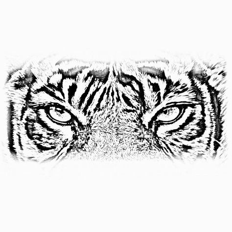 Tiger Eyes Tattoo Stencil, Tiger Eyes Tattoo Design, Gg Tattoo, Gates Of Heaven Tattoo, Tattoo Real, Tiger Eyes Tattoo, Tiger Face Tattoo, Tiger Head Tattoo, Eye Stencil