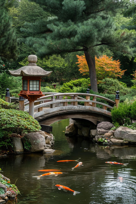 Japanese garden, koi pond, stone bridge, tranquil setting, stone lantern, pine trees, autumn foliage, zen landscape, garden tranquility, koi carp, water reflection, peaceful garden, Japanese landscaping, cultural garden design, nature scene, ornamental fish, lush greenery, serene nature, outdoor beauty, harmony. Japanese Lake Garden, Fish Pond With Bridge, Japanese Bridge Garden, Japanese Fish Pond, Garden Pond Bridge, Koi Pond Bridge, Japanese Garden Bridge Ideas, Waterfall Koi Pond, Japanese Zen Gardens