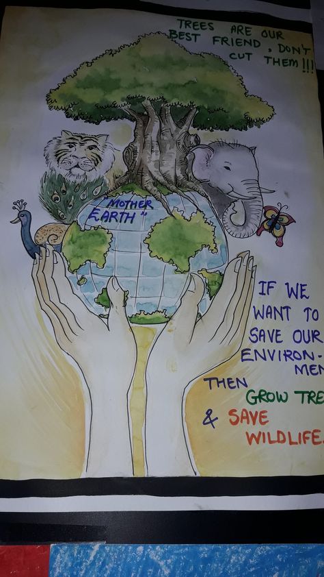 Wildlife Conservation Through Coexistence Painting, Save Forests Poster, Animal Extinction Poster, Poster On Wildlife, Save Wild Life Poster Drawing, Wildlife Conservation Drawing, Save Forest Poster Drawing, Forest Conservation Poster, Poster On Wildlife Conservation