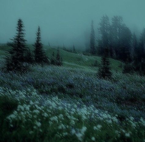 Abandoned Places In The World, Liminal Forest, Wallpaper Layout, 숲 사진, Fairy Grunge Aesthetic, Dark Forest Aesthetic, Dark Fairycore, Dark Green Aesthetic, Dark Nature Aesthetic