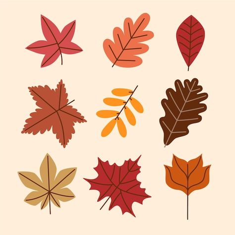 Fall Leaves Clip Art, Cartoon Leaf Drawing, Fall Leaf Doodle, Autumn Leaves Drawing Simple, Cute Leaf Drawing, Fall Leaf Drawing, Fall Leaves Cartoon, Autumn Leaves Illustration, Maple Leaf Drawing