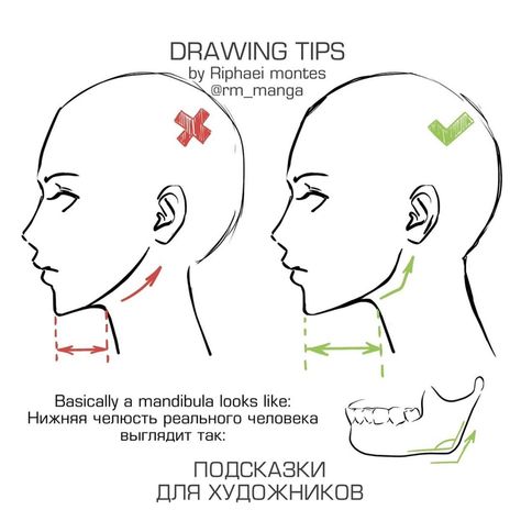 Art Tutorials and References on Instagram: “Small tip on drawing jaw lines  Follow @artadvicee for more art tutorials and tips Follow @artadvicee for more art tutorials and tips…” Male Figure Drawing, Profile Portrait, Human Figure Drawing, Drawing Faces, Anatomy Drawing, Figure Drawing Reference, Body Drawing, Anatomy Reference, Side Profile