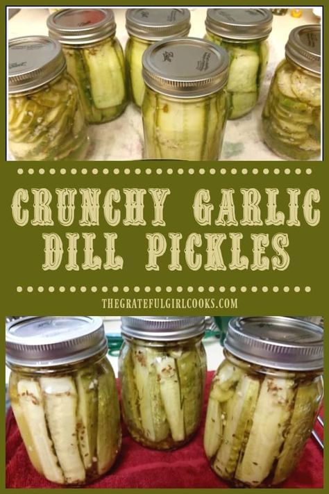 Crunchy Garlic Dill Pickles / The Grateful Girl Cooks! Pickles Refrigerator, Easy Pickles, Homemade Dill Pickles, Making Dill Pickles, Refrigerator Pickles Dill, Garlic Dill Pickles, Homemade Pickles Dill, Kosher Dill Pickles, Pickle Recipes Homemade