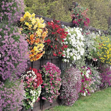 14 Inspiring DIY Flower Walls Pot Gantung, Flower Fence, Diy Flower Wall, Fence Planters, Diy Flores, Flowers Growing, Different Types Of Flowers, Bamboo Garden, Vertical Gardens