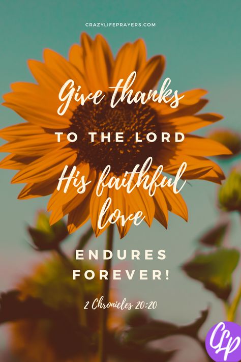 His Love Endures Forever, Faithful Love, Love Endures, Give Thanks To The Lord, Love Scriptures, Scripture Memorization, Thankful Quotes, Thankful Heart, Joy Of The Lord