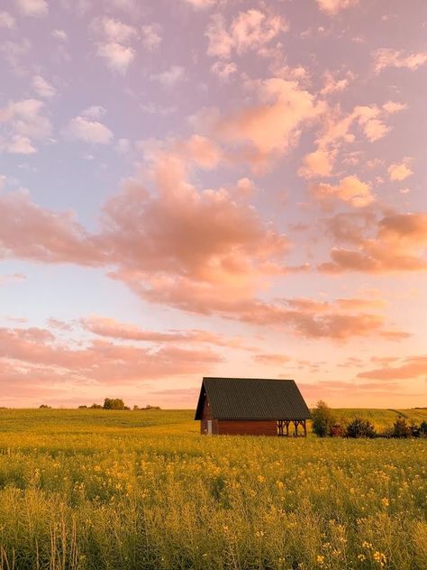 Jane Wallpaper, Flowers Meadow, Sunset Flowers, Golden Days, Wallpaper Nature, Soft Natural, Wallpaper Aesthetic, Poland, Wallpapers