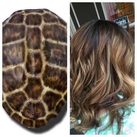 Tortoise shell highlights balayage color from nature Tortoise Hair Color, Tortoise Hair Color Brunette, Russian Balayage, Tortoiseshell Hair Brunette, Tortoiseshell Hair Color, Tortoise Shell Hair Brunette, Tortoise Shell Balayage, Tortoise Shell Balayage Hair, Tortoise Shell Hair Color