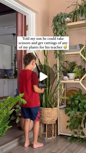 Chantel Gray | 🪴 Plants + DIY on Instagram: "“Mom can I take some plant cuttings for my teacher?!” 

Little things like this feel extra special with my kids and I plus it makes for an easy teacher gift! I added “Surviving Third Grade” by “teachers name” and thought that was clever lol. Well add a gift card to the side and gifted it on the first day of school! 

I love the thought that these plants will grow with the kids through the school year too 🥹

This book vase is linked in my bio under “plant essentials” and they come with letters to personalize it however you’d like! You can simply comment “plant essentials” too and I can message it to you if that’s easier!

Follow for more tips and tricks on your houseplant journey ☺️
xo - chantel" Plant Mom Gifts, Teacher Gift Plant, Plant Rescue, Plants For Teachers Gift, Plant Essentials, Plant Parenting, Book Vase, Easy Teacher Gifts, Plants Diy