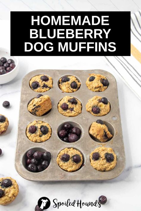 Homemade Blueberry Dog Muffins made with fresh blueberries, banana, applesauce, and oat flour. Get the easy recipe and find out how to make the best blueberry muffins for dogs. Muffins For Dogs, Dog Muffins, Homemade Blueberry Muffins, Easy Dog Treat Recipes, Best Blueberry Muffins, Easy Dog Treats, Healthy Dog Treats Homemade, Dog Treats Homemade Recipes, Homemade Muffins