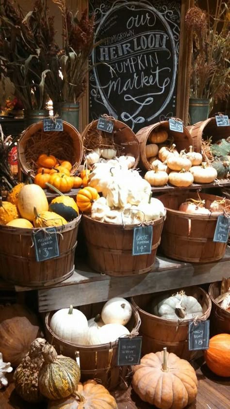 Pumpkin Sales Display, Pumpkin Sale Display, Pumpkin Stand Ideas, Farmstand Aesthetic, Heirloom Pumpkins, Pumpkin Patch Decoration, Pumpkins For Sale, Farmers Market Stand, Pumpkin Stands