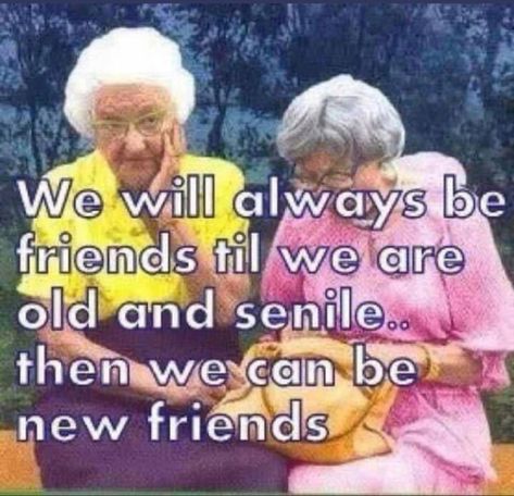 Quotes About Friendship Bff, Old Friends Funny, Funny Quotes About Friendship, Funny Quotes For Friends, Old Friend Quotes, Funny Emails, Quotes About Friendship, Quotes For Friends, National Best Friend Day