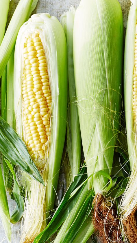 How to microwave corn on the cob so it's ready in minutes via @AOL_Lifestyle Read more: https://www.aol.com/article/lifestyle/2019/05/21/how-to-microwave-corn-on-the-cob/23732132/ Cooking Sweet Corn, High Protein Vegetables, Protein Vegetables, Shucking Corn, Vegetable Cooking, How To Cook Corn, Ears Of Corn, Corn On The Cob, Fool Proof Recipes