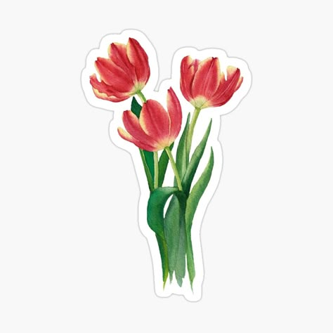 Red Scrapbook Stickers, Tulips Stickers Printable, Red Stickers Printable, Red Stickers Aesthetic, Tulips Stickers, Red Flower Sticker, Tulips Illustration, Tulip Sticker, Gouache Flowers