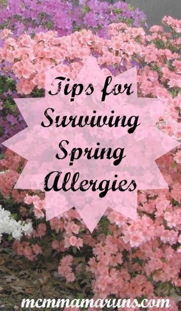 Tips for running through allergy season #spring #allergies #running Spring Allergy Relief, Allergy Relief Remedies, Help With Allergies, Bad Allergies, 10k Training, Spring Allergies, Allergy Season, 5k Training, Allergy Remedies