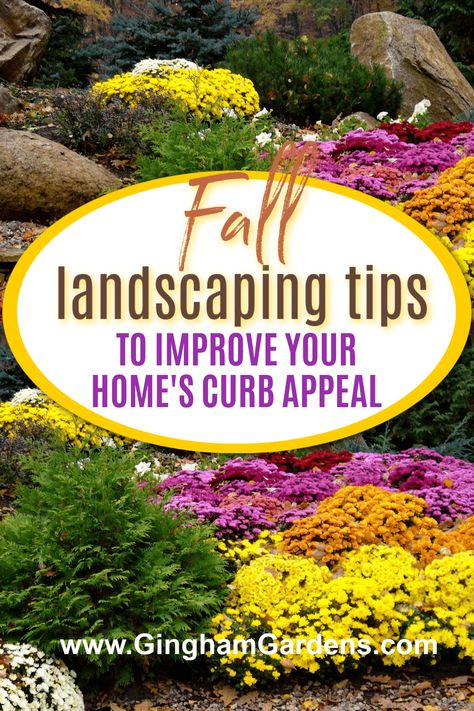 Fall Landscaping Ideas Front Yards, Fall Landscape Front Yard Garden Ideas, Fall Flowers Front Yard, Fall Outdoor Landscaping, Fall Flower Beds In Front Of House Decor, Front Yard Fall Landscaping, Fall Front Garden Ideas, Mums Landscaping Front Yards, Simple Fall Landscaping Front Yard