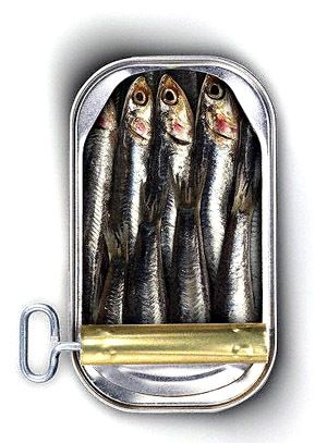 Benefits Of Sardines, Foods For Heart Health, Iphone 4s Case, Iphone 4 Case, Photo Vintage, Fish Painting, Fish Art, Art Journals, Sea Creatures