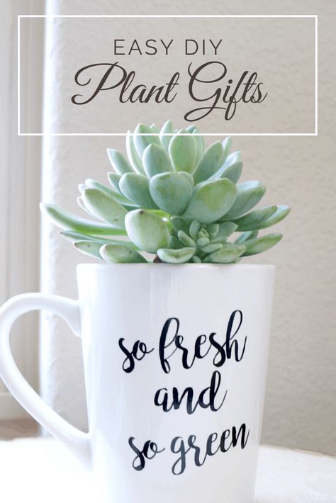 Diy Plant Gifts, Hardy Succulents, Christmas Plant, Christmas Toilet Paper, Origami Techniques, Plant Puns, Easy Valentine Crafts, Gifts Creative, Cactus Gifts