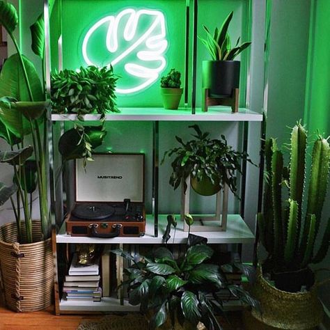 Nature meets neon. Photo by @eclectic.leigh #SOdomino Plant Shelfie, Vibey Room, Green Room Decor, Neon Room, Salon Suites, Neon Sign Bedroom, Green Neon, Indie Room, Redecorate Bedroom