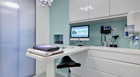 The London Cat Clinic - ACD Projects Veterinarian Interior Design, Veterinary Clinic Ideas Design, Pet Clinic Design, Veterinary Clinic Ideas, Vet Clinic Ideas, Vet Clinic Design, Veterinary Clinic Design, Vet Practice, Vet Hospital