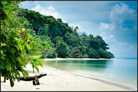 Planning a trip to Andaman Islands? Find complete list of things to do while your trip to Andaman, you will love to visit popular tourist spots and enjoy the local culture. Checkout now. Tourist Places In India, Language To Learn, Holiday Destinations In India, Andaman Islands, Andaman And Nicobar Islands, Scrooge Mcduck, Tourist Spots, Tourist Places, Travel And Tourism