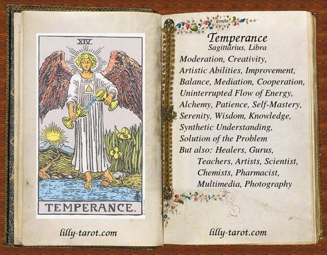 Tarot Court Cards, Astrology Explained, Tarot Card Meanings Cheat Sheets, Tarot Minor Arcana, Suit Of Cups, Tarot Study, Page Of Swords, Suit Of Swords, Tarot Cards Meaning