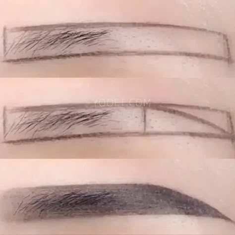 Eyebrow Makeup Techniques, Straight Eyebrows, Membentuk Alis, Eyebrow Styles, Eyebrow Makeup Tutorial, Makeup Brows, Everyday Makeup Tutorials, Doll Eye Makeup, Eyebrow Makeup Tips